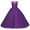 Lunie Princess Dress For Girls