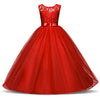 Lunie Princess Dress For Girls