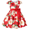 Lunie Princess Girl Dress